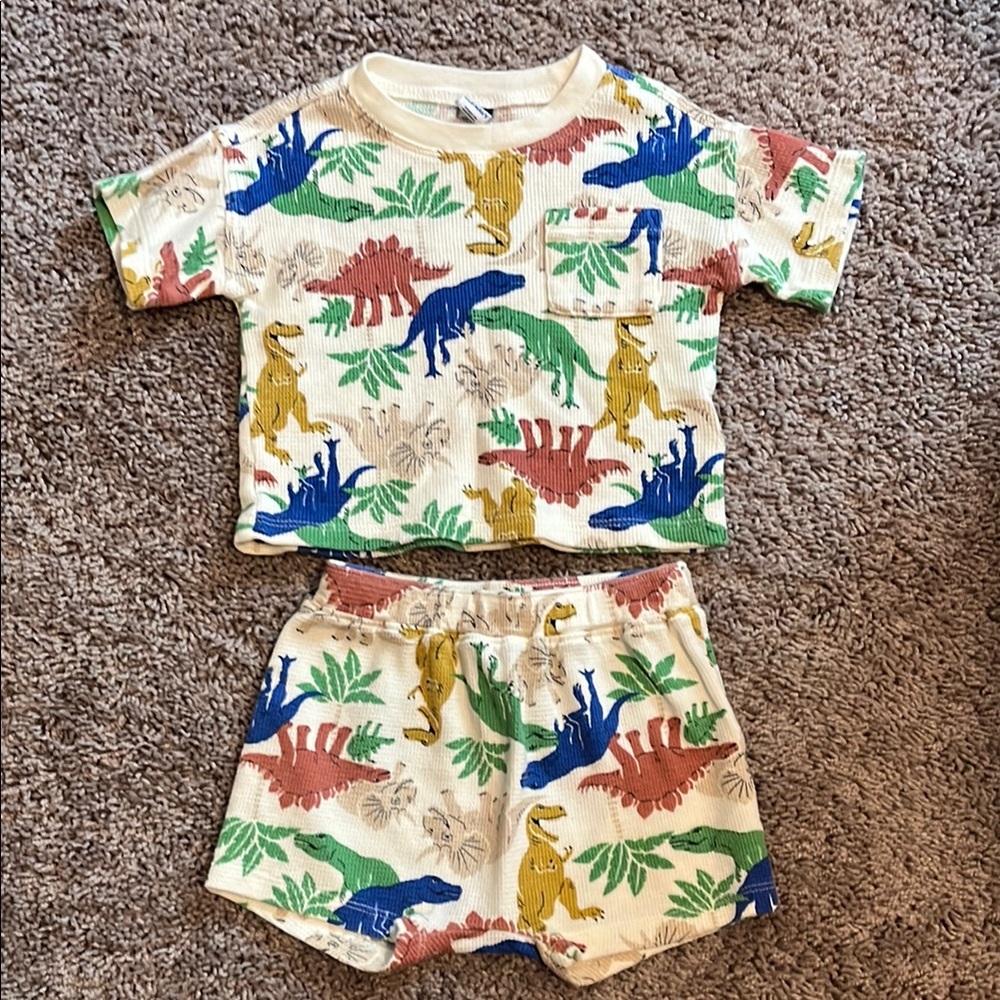 Dinosaur Print Toddler Set